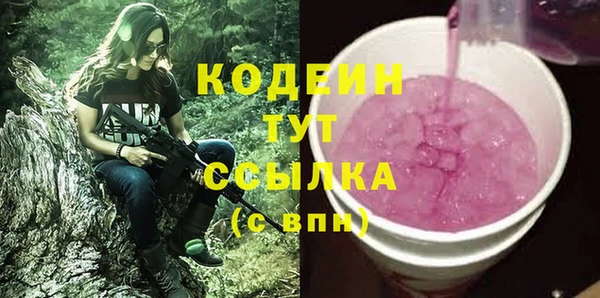 индика Армянск