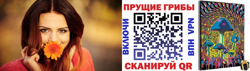 Галлюциногенные грибы прущие грибы  где найти   MEGA tor  Пыталово 