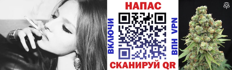 Бошки Шишки индика  Пыталово 